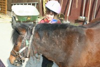 /album/mes-debuts/a1-ere-annee-07-08-2-jpg/